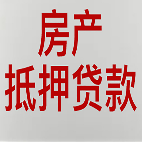 振兴贷款公司新渝启服推荐选择